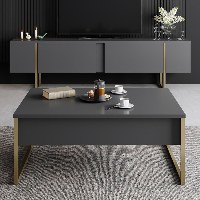 Hanah Home Luxe Mesa de Centro Antracita y Dorado
